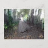 Carte Postale Esprit des Bois (Devant)