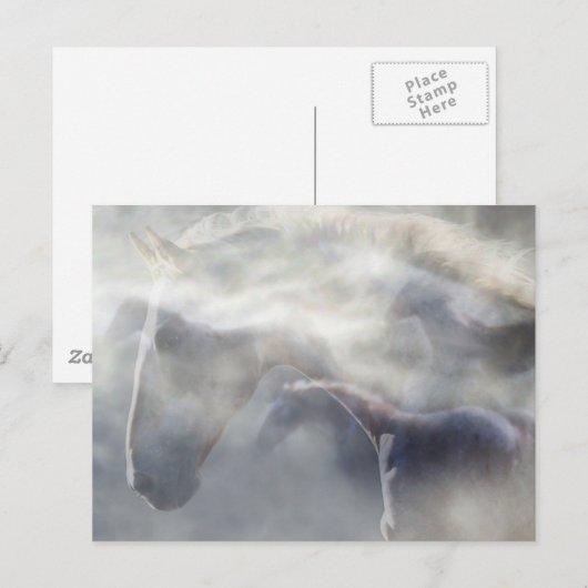 Carte Postale Esprit du cheval (Devant / Derrière)