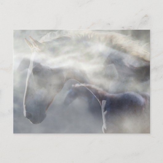 Carte Postale Esprit du cheval (Devant)