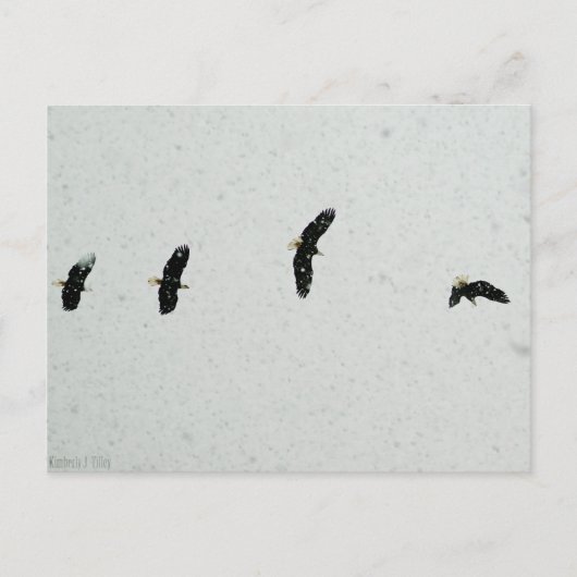 Carte Postale Esprit du vol (Devant)