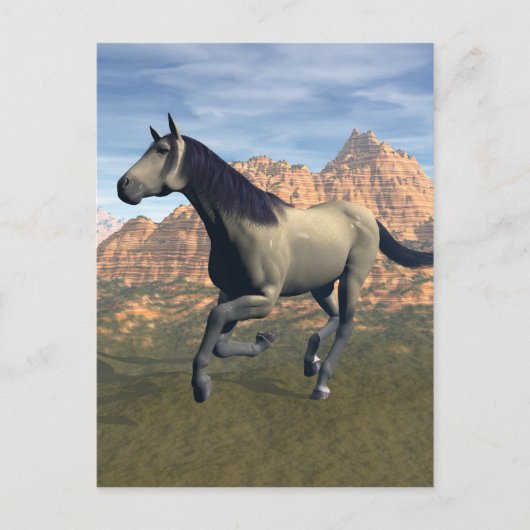 Carte Postale Esprit libre (Devant)