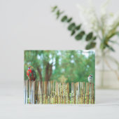 Carte Postale Esprits différents (Debout devant)