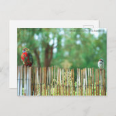 Carte Postale Esprits différents (Devant / Derrière)