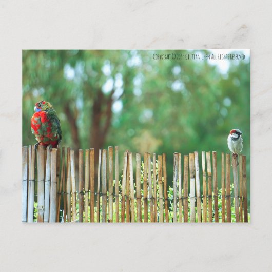 Carte Postale Esprits différents (Devant)