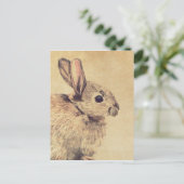 Carte postale Esquisse d'aquarelle de lapin commun (Debout devant)