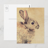 Carte postale Esquisse d'aquarelle de lapin commun (Devant / Derrière)