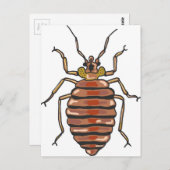 Carte Postale Esquisse de bogue de lit (Devant / Derrière)