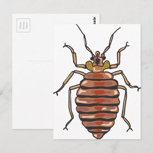 Carte Postale Esquisse de bogue de lit (Devant / Derrière)