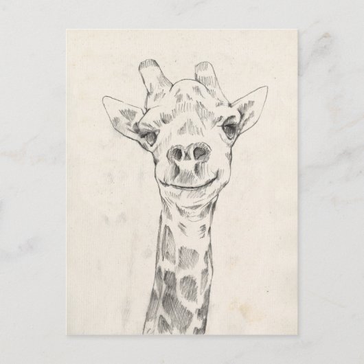 Carte Postale Esquisse de portrait de Giraffe (Devant)