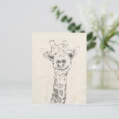Carte Postale Esquisse de portrait de Giraffe (Debout devant)