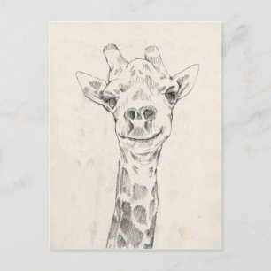 Carte Postale Esquisse de portrait de Giraffe
