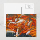 Carte Postale Essai de poisson d'or (Devant / Derrière)