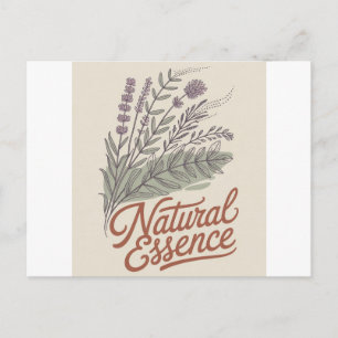 Carte Postale Essence Naturelle Botanique Fleur Sauvage Vintage