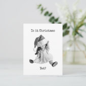 Carte Postale Est-ce déjà Noël (Debout devant)