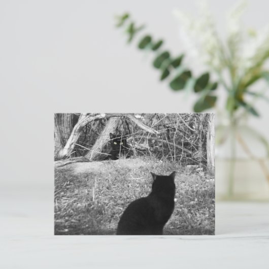 Carte Postale Est-ce moi ? (Debout devant)