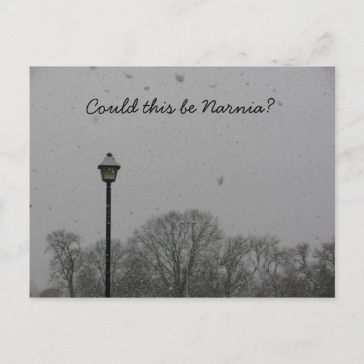 Carte Postale Est-ce que ceci a pu être Narnia ? (Devant)