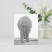 Carte Postale Est-ce que mon cul est gros (Debout devant)