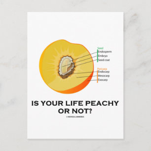 Carte Postale Est-Ce Que Votre Vie Est Pratiquée Ou Non ? (Nourr