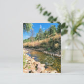 Carte postale Estes park colorado (Debout devant)