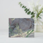 CARTE POSTALE ESTES PARK LOVE. (Debout devant)