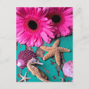 Carte Postale Estrades et hippocampe roses avec des étoiles de