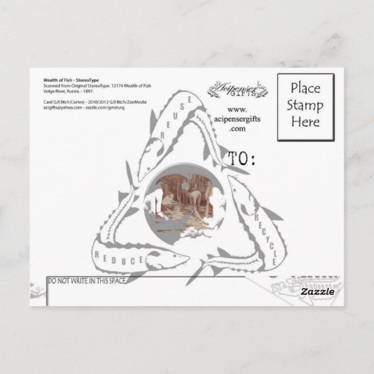Carte postale esturgeon - StéréoType Russie (Dos)