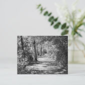 Carte Postale Et le chemin le traverse (Debout devant)