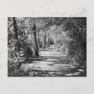 Carte Postale Et le chemin le traverse