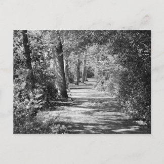 Carte Postale Et le chemin le traverse