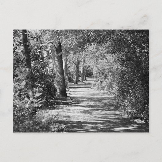 Carte Postale Et le chemin le traverse (Devant)