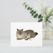 Carte Postale Établissements (Debout devant)