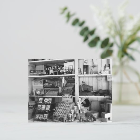 Carte Postale Étagères vintages (Debout devant)