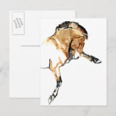 Carte Postale Étalon (Devant / Derrière)