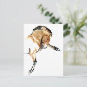 Carte Postale Étalon (Debout devant)