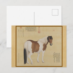 Carte Postale Étalon Tacheté Noble - Impression Traditionnelle e