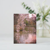 Carte Postale Étang au RHS Wisley, Angleterre (Debout devant)