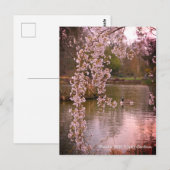 Carte Postale Étang au RHS Wisley, Angleterre (Devant / Derrière)