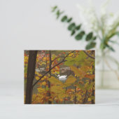 Carte Postale Étang d'automne avec cygne (Debout devant)