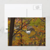 Carte Postale Étang d'automne avec cygne (Devant / Derrière)