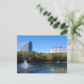 Carte Postale Étang de canard à Arboretum (Debout devant)