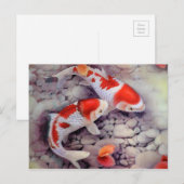 Carte Postale Étang de poissons Koi rouge et blanc (Devant / Derrière)