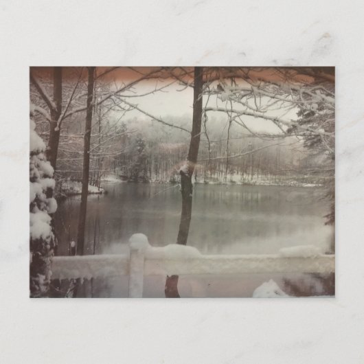 Carte Postale Étang d'hiver (Devant)