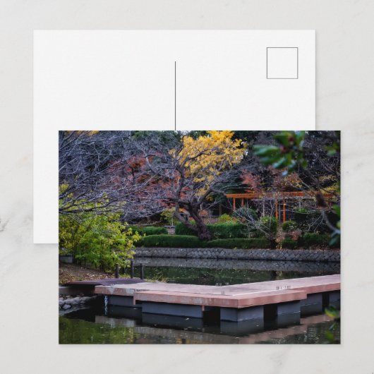 Carte Postale Étang du Japon (Devant / Derrière)
