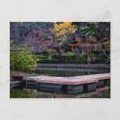 Carte Postale Étang du Japon (Devant)