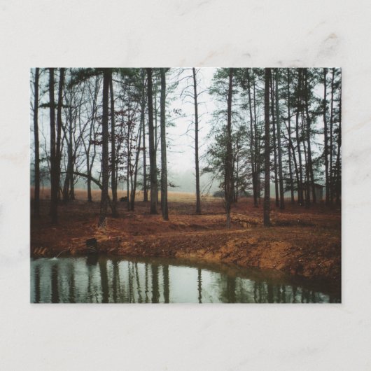 Carte Postale Étang rustique (Devant)