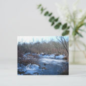 Carte Postale Étangs D'Eaux Humides En Hiver (Debout devant)