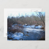 Carte Postale Étangs D'Eaux Humides En Hiver (Devant / Derrière)