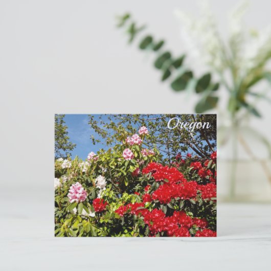 Carte Postale État de l'Oregon (Debout devant)