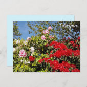 Carte Postale État de l'Oregon (Devant / Derrière)