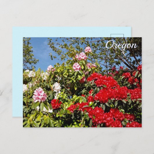 Carte Postale État de l'Oregon (Devant / Derrière)